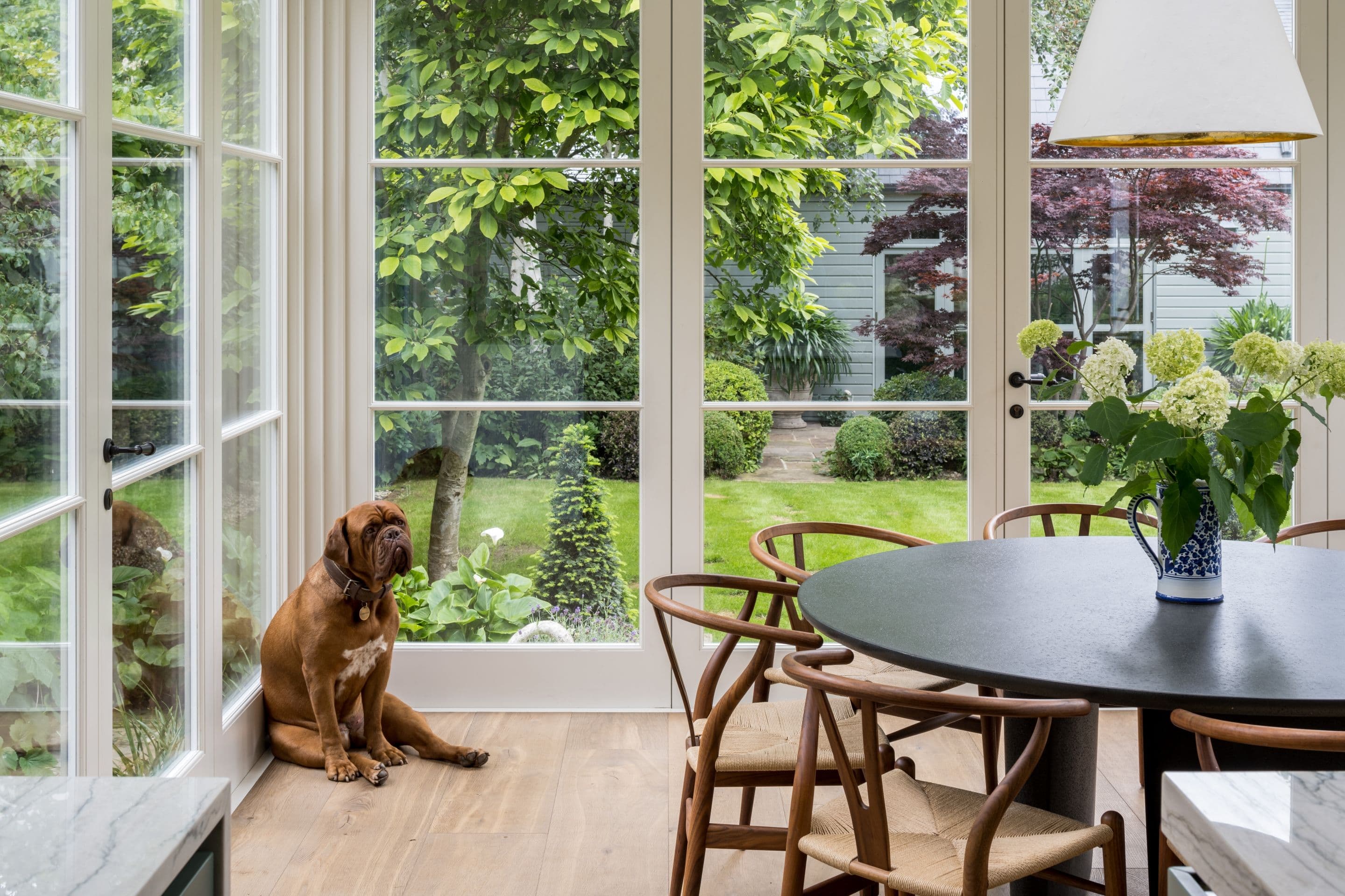 Mall House Dining Dog